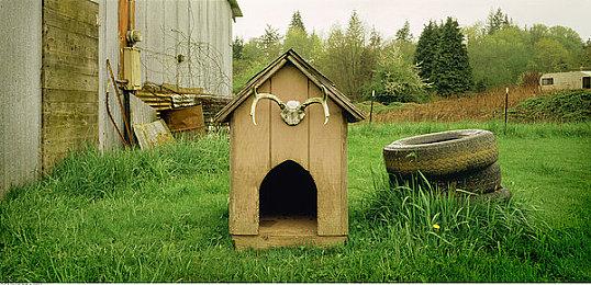 蒂法手办和2B老司机模型助力SE周边销售额显著增长